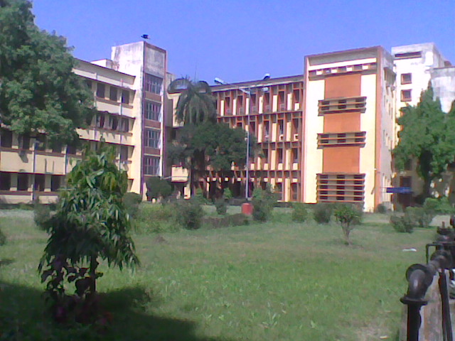 college back